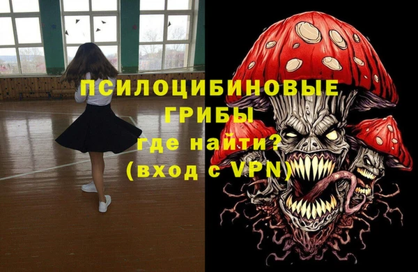 гидра Арсеньев