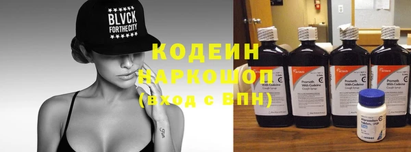 гидра Арсеньев