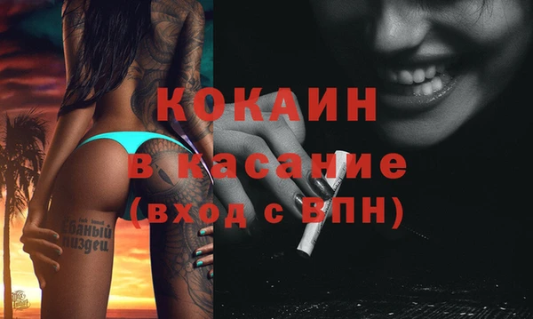 гидра Арсеньев