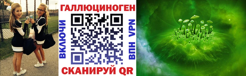 Галлюциногенные грибы Psilocybine cubensis  Сясьстрой 