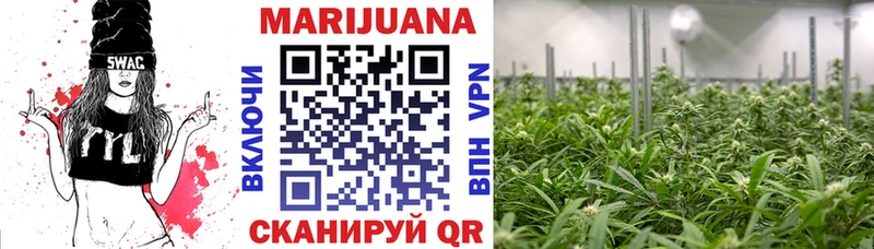 MEGA tor  Сясьстрой  Бошки марихуана MAZAR 